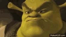 Shrek Meme GIFs | Tenor