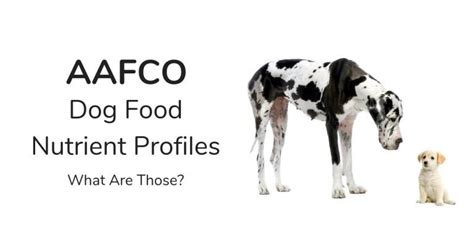 What Are AAFCO Dog Food Nutrient Profiles?