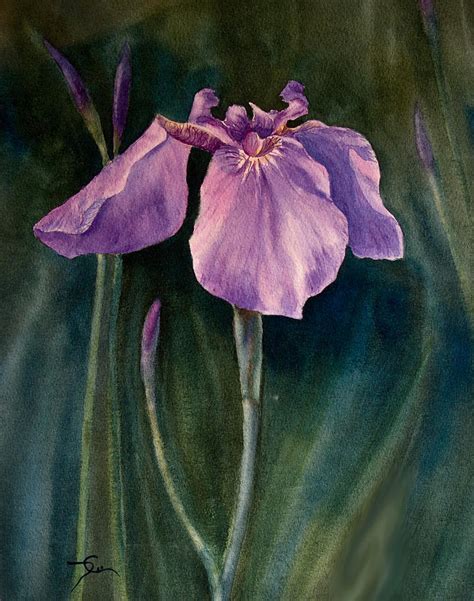 Wild Iris 6 Painting by Dee Carpenter - Fine Art America