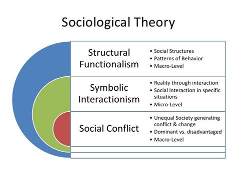 Sociology 101 Chapter 1