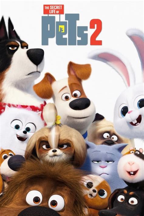 THE SECRET LIFE OF PETS 2 - DVD | Australian Classification