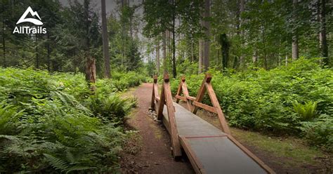 Best trails in South Kitsap Community Park, Washington | AllTrails