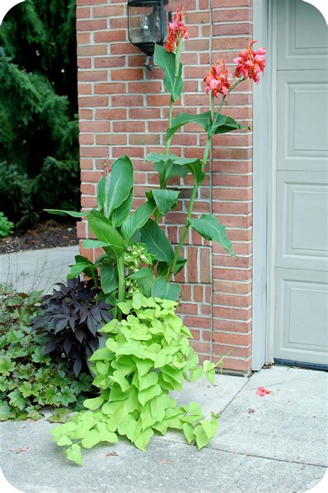 33 Shades of Green: Container Gardening