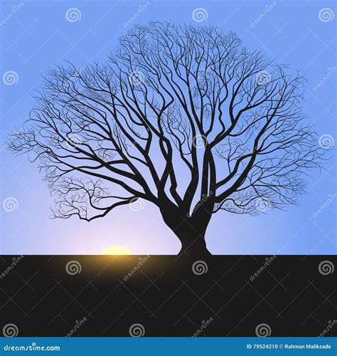 Tree Silhouette and Sunrise Stock Vector - Illustration of environment ...