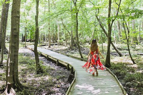 11 Unique Things to Do in Congaree National Park