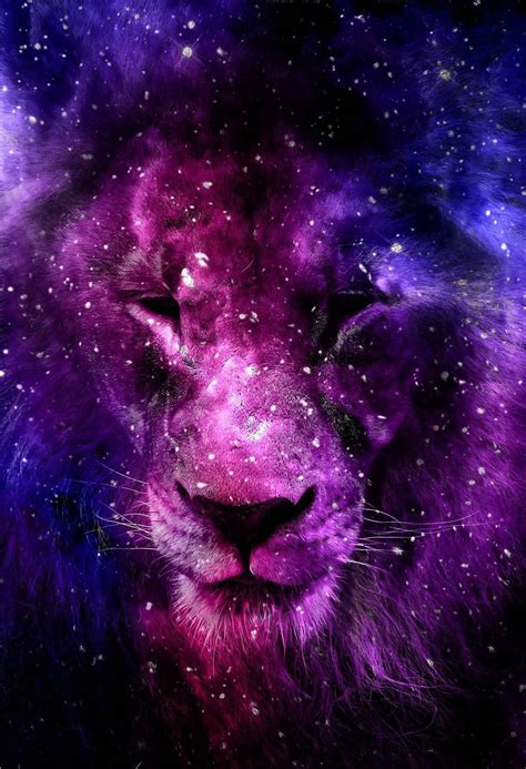 [200+] Galaxy Lion Wallpapers | Wallpapers.com