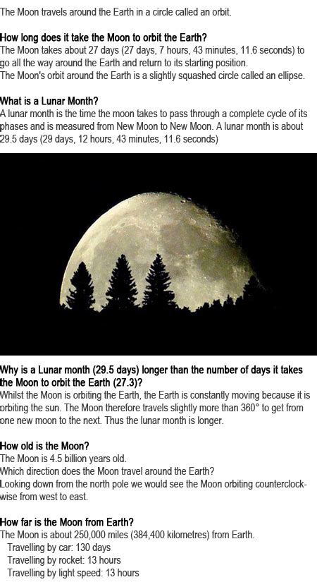 Facts about the moon for kids | Childhood Education