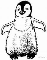 Baby Penguin Coloring Pages At GetColoringscom  Free Printable sketch template