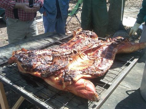 21 best Pig Roast images on Pinterest | Pork roast, Pig roast and Pig pickin