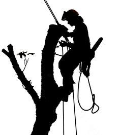 Silhouette Drawing, Human Silhouette, Arborist Climbing Trees ...