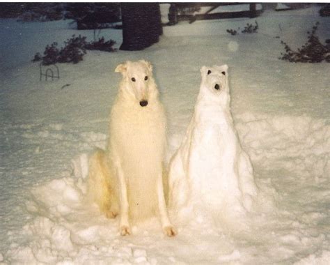 Mychtar and his Snowdog | Борзая, Собаки, Счастливые собаки