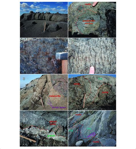 | Field photos of the Maniitsoq Norite Belt. (A) Typical outcrop of... | Download Scientific Diagram