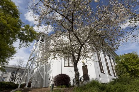 Gallery: Spring on North Campus - UGA Today