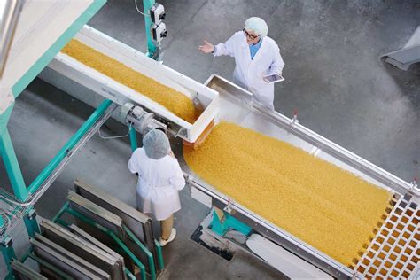 Which Conveyors Are Cleanest For Processing Food?