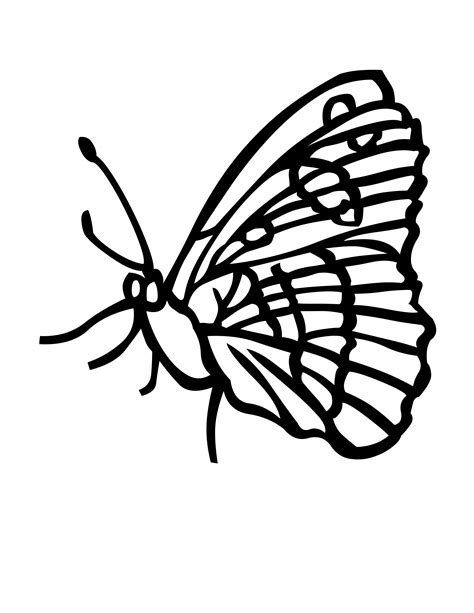 Butterfly Coloring Pages