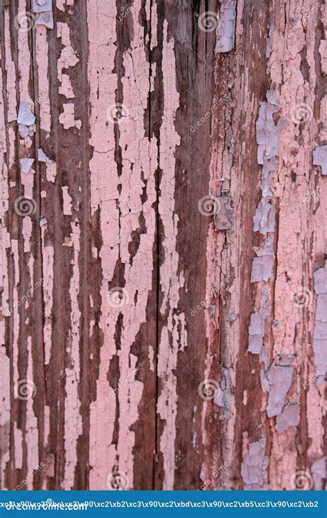 Old paint on wood stock image. Image of paint, color, grey - 8919827