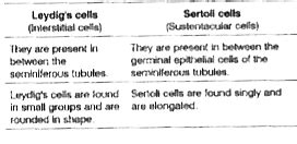 Differentiate between Leydig.s cells and Sertoli cells.