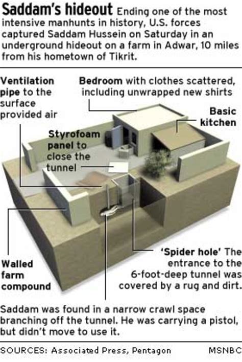 U.S. forces capture Saddam near hometown