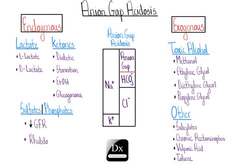 Dx Schema – Metabolic Acidosis – The Clinical Problem Solvers