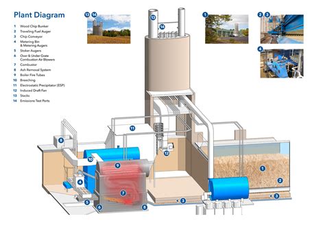 Biomass Energy Plant Diagram