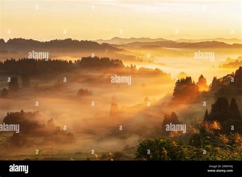 Rice terraces of Hoshitoge Stock Photo - Alamy