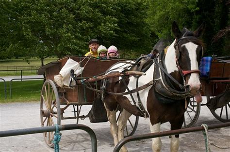 horse and buggy ride around muckross gardens | JJ Thorp | Flickr