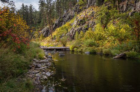 20160921-Spring Creek Color. | Black hills, Spring, Foliage