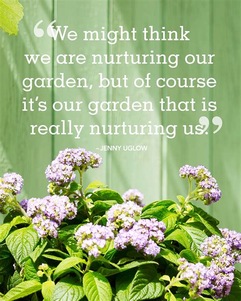 20 Absolutely Beautiful Quotes About Summer | Gardens, Plants and Thoughts