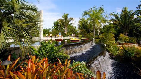 Naples Botanical Garden in Naples, Florida | Expedia