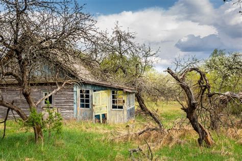 Chernobyl Has Transformed into an Incredible Nature Reserve Now Open to ...