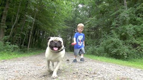 LITTLE BOY WALKING HIS DOG FOR THE FIRST TIIME - YouTube