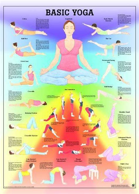 Update 146+ basic yoga poses explained super hot - vova.edu.vn