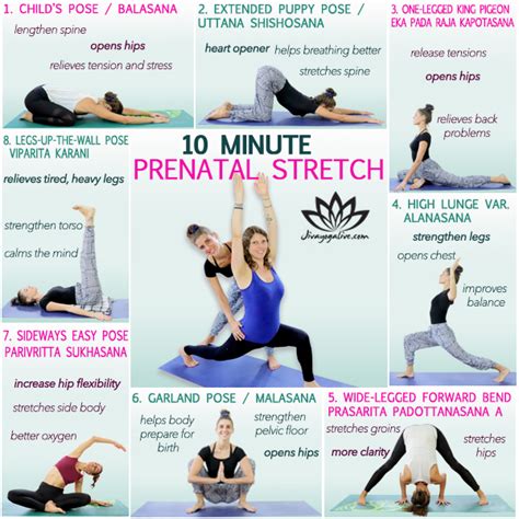 10 Minute Prenatal Yoga Stretch - Jivayogalive