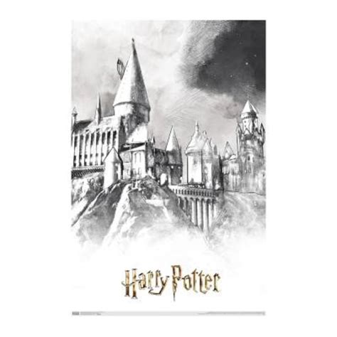 Póster Trends International Harry Potter Hogwarts 88 x 57 cm | Walmart