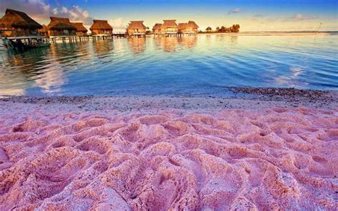 Conheça a praia de areia rosa nas Bahamas - Boat Shopping