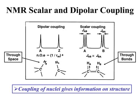 PPT - Biomolecular Nuclear Magnetic Resonance Spectroscopy PowerPoint ...