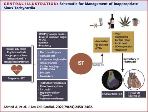 Inappropriate Sinus Tachycardia: Etiology, Pathophysiology, and ...