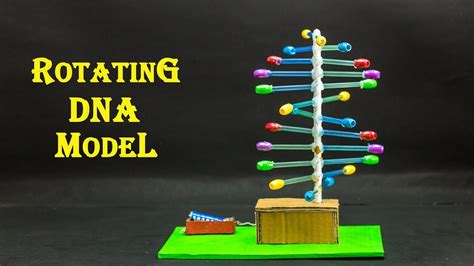 School Science Projects | Rotating DNA Model - YouTube