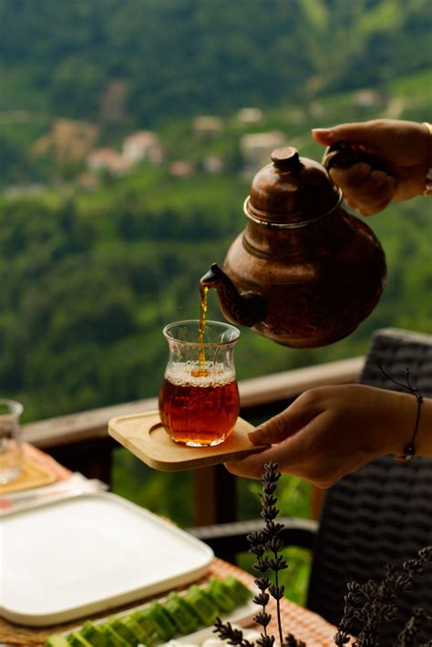 Darjeeling Tea Delight: An Exploration of Flavour and Tradition ...