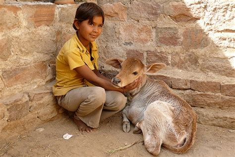 Why The Bishnoi Are A Beacon of Sustainable Living | Madras Courier