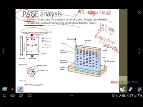 Biochemical Techniques - YouTube