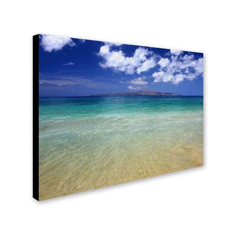 Trademark Fine Art 22 in. x 32 in. Hawaii Blue Beach Canvas Art-PL0038 ...