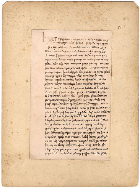 Ancient Irish manuscripts; a collection of photographs by Heinrich ...