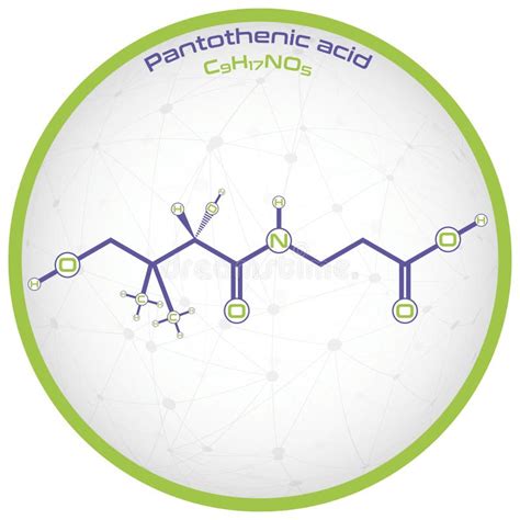 Infographic of the Molecule of Pantothenic Acid Stock Vector ...