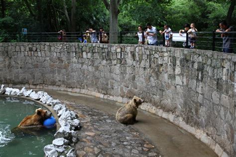 Shanghai Zoo , shanghai, China - Top Attractions, Things to Do & Activities in Shanghai Zoo