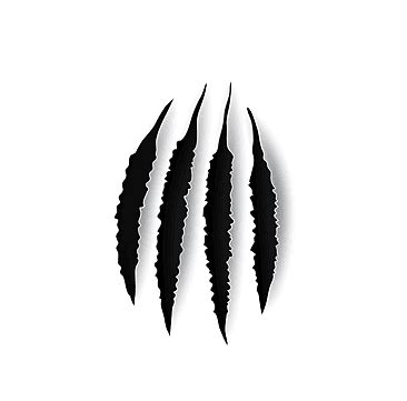 Bear Claw Marks PNG Transparent Images Free Download | Vector Files | Pngtree