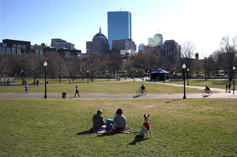 A guide to Boston's parks and green spaces