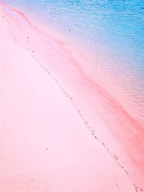 Paint your world Pink at Pink Beach Komodo Island - The Curated Travelist