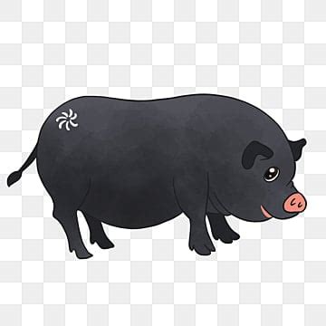 Black Pig PNG, Vector, PSD, and Clipart With Transparent Background for ...