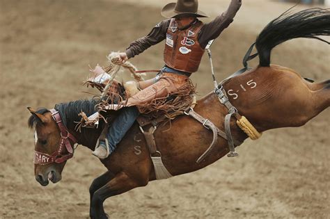 Rodeo 4K Wallpapers - Top Free Rodeo 4K Backgrounds - WallpaperAccess